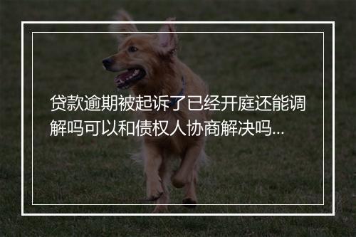 贷款逾期被起诉了已经开庭还能调解吗可以和债权人协商解决吗？