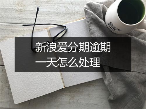 新浪爱分期逾期一天怎么处理