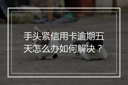 手头紧信用卡逾期五天怎么办如何解决？