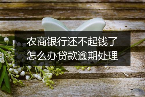 农商银行还不起钱了怎么办贷款逾期处理