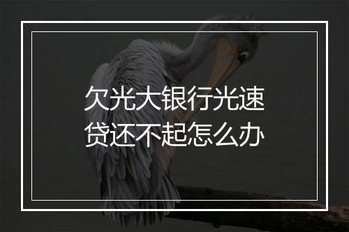 欠光大银行光速贷还不起怎么办
