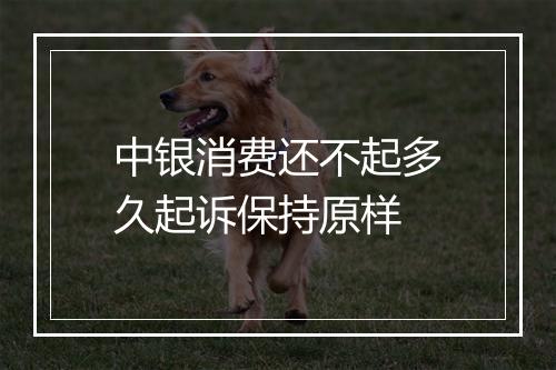 中银消费还不起多久起诉保持原样