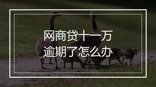 网商贷十一万逾期了怎么办