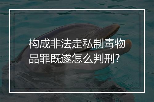 构成非法走私制毒物品罪既遂怎么判刑?