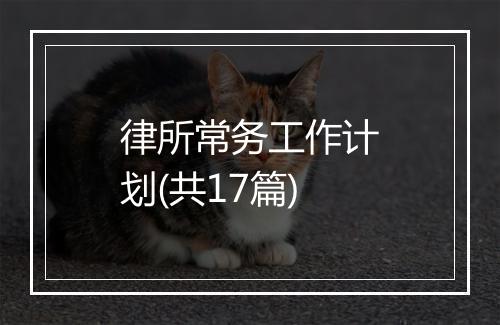 律所常务工作计划(共17篇)