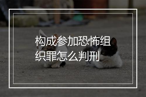 构成参加恐怖组织罪怎么判刑