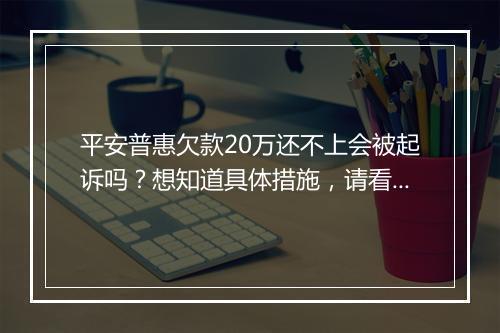 平安普惠欠款20万还不上会被起诉吗？想知道具体措施，请看这里