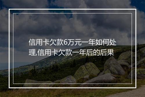 信用卡欠款6万元一年如何处理,信用卡欠款一年后的后果