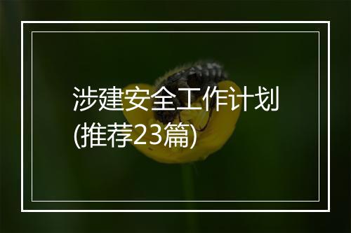 涉建安全工作计划(推荐23篇)
