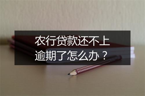 农行贷款还不上逾期了怎么办？