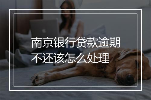 南京银行贷款逾期不还该怎么处理