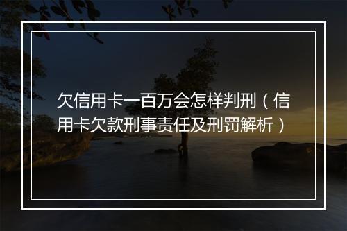 欠信用卡一百万会怎样判刑（信用卡欠款刑事责任及刑罚解析）