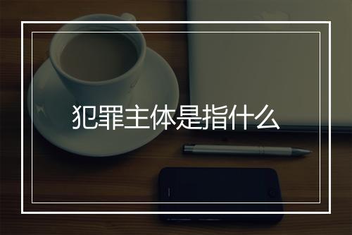 犯罪主体是指什么