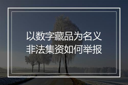 以数字藏品为名义非法集资如何举报