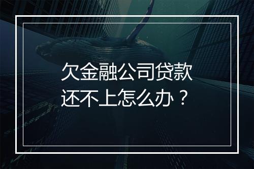 欠金融公司贷款还不上怎么办？