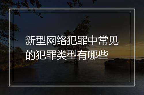 新型网络犯罪中常见的犯罪类型有哪些
