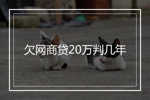 欠网商贷20万判几年