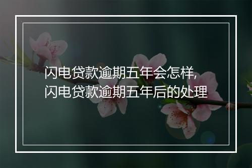 闪电贷款逾期五年会怎样,闪电贷款逾期五年后的处理