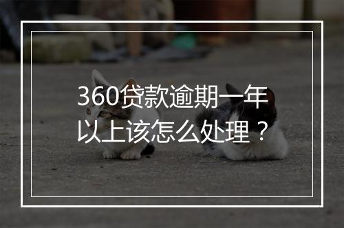 360贷款逾期一年以上该怎么处理？