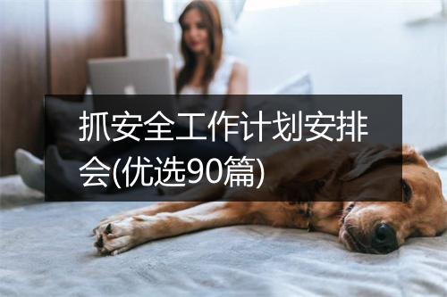 抓安全工作计划安排会(优选90篇)