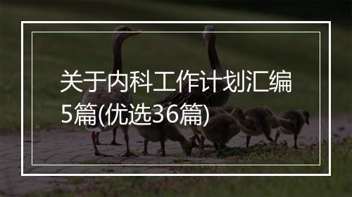 关于内科工作计划汇编5篇(优选36篇)