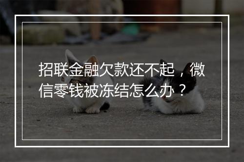 招联金融欠款还不起，微信零钱被冻结怎么办？