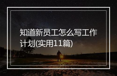 知道新员工怎么写工作计划(实用11篇)