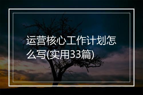 运营核心工作计划怎么写(实用33篇)