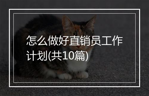怎么做好直销员工作计划(共10篇)