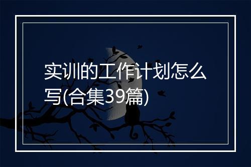 实训的工作计划怎么写(合集39篇)