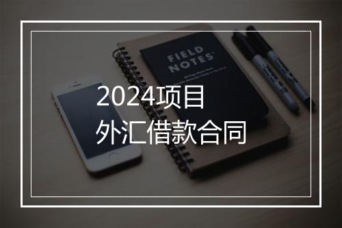 2024项目外汇借款合同