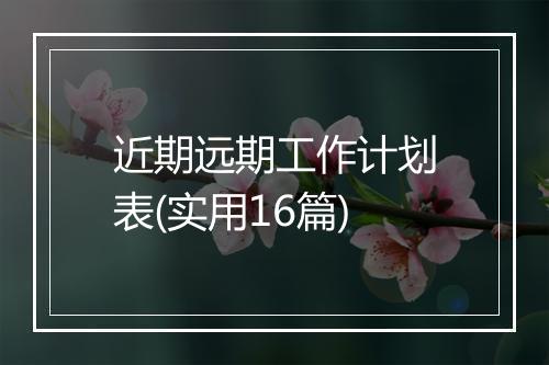 近期远期工作计划表(实用16篇)