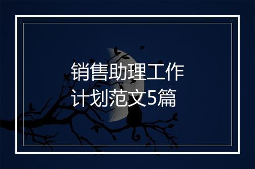 销售助理工作计划范文5篇