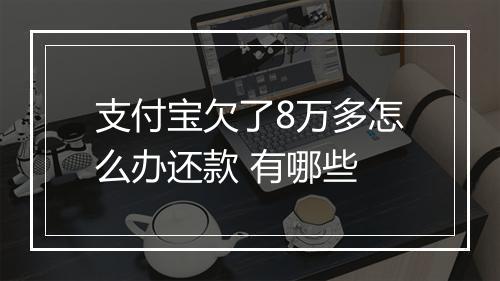 支付宝欠了8万多怎么办还款 有哪些