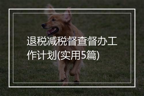 退税减税督查督办工作计划(实用5篇)