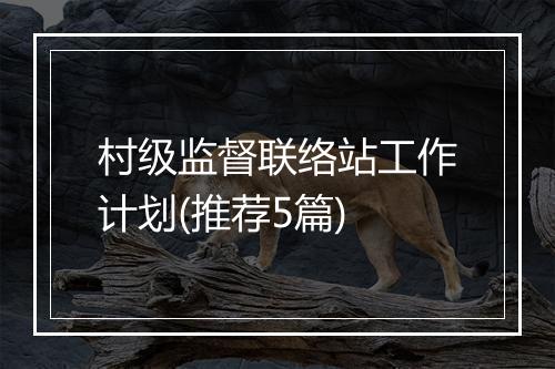村级监督联络站工作计划(推荐5篇)