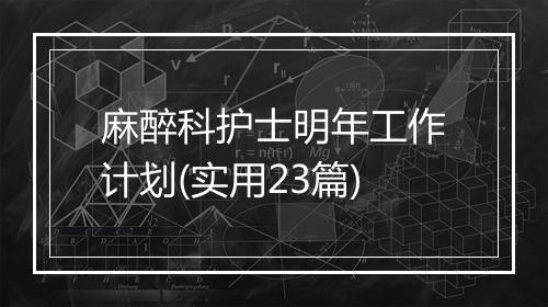 麻醉科护士明年工作计划(实用23篇)