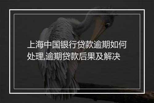 上海中国银行贷款逾期如何处理,逾期贷款后果及解决
