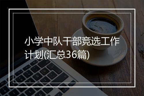 小学中队干部竞选工作计划(汇总36篇)
