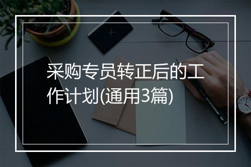 采购专员转正后的工作计划(通用3篇)