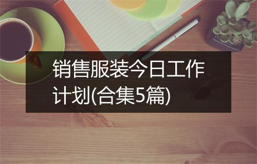销售服装今日工作计划(合集5篇)