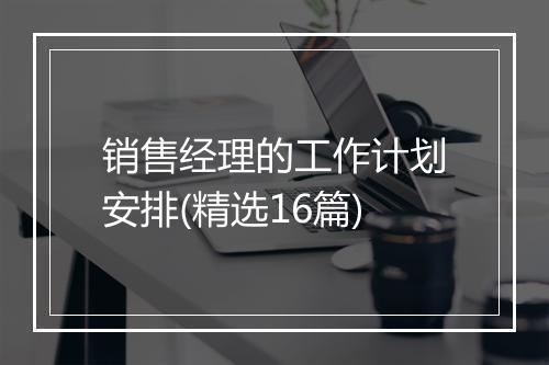 销售经理的工作计划安排(精选16篇)
