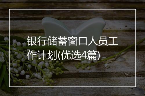 银行储蓄窗口人员工作计划(优选4篇)