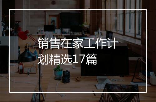 销售在家工作计划精选17篇