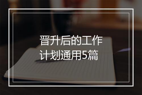 晋升后的工作计划通用5篇
