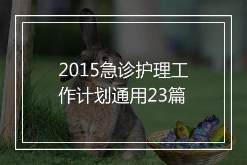 2015急诊护理工作计划通用23篇