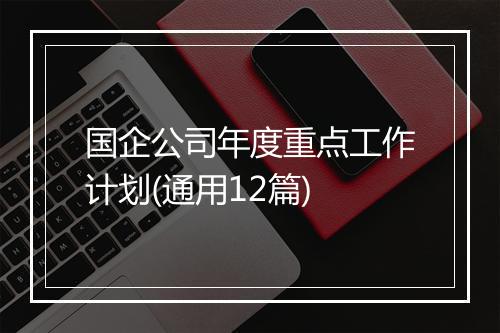 国企公司年度重点工作计划(通用12篇)