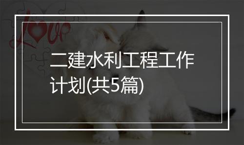 二建水利工程工作计划(共5篇)