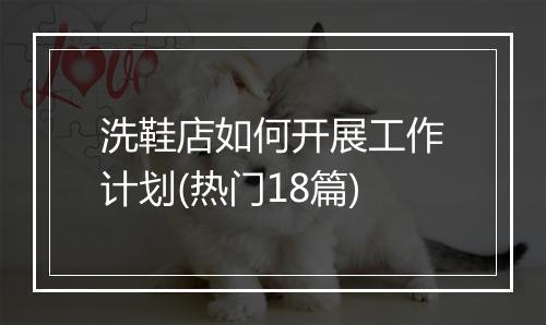 洗鞋店如何开展工作计划(热门18篇)
