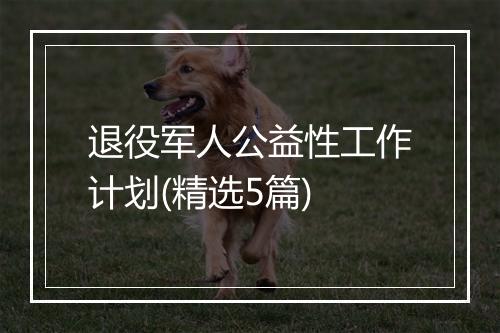 退役军人公益性工作计划(精选5篇)